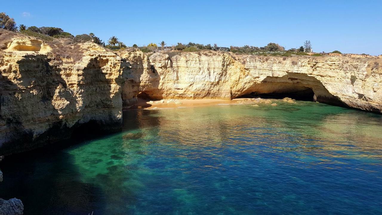 Magnific Studio With A Cozy Garden, 5 Minutes To The Beach Albufeira Eksteriør bilde